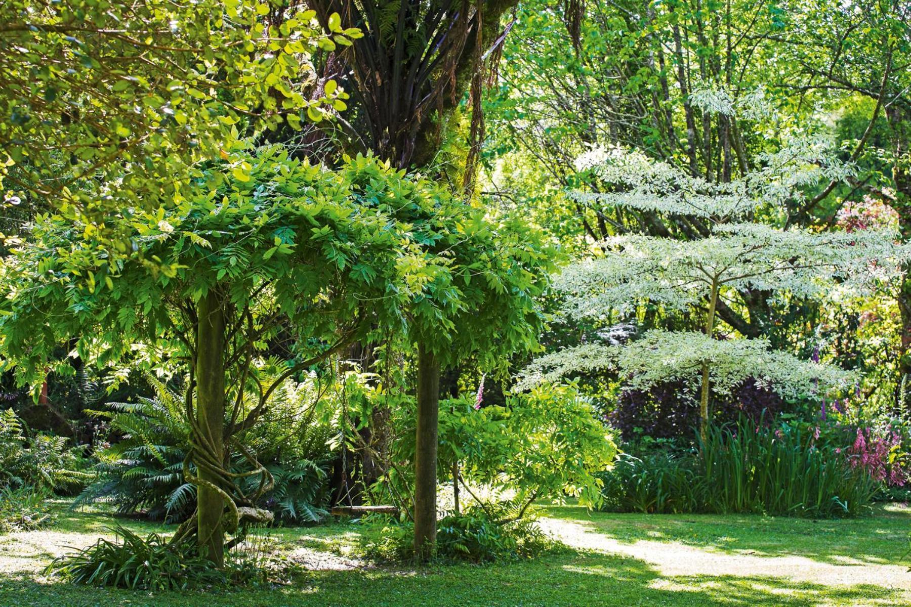 Villa Tepopo Gardens Rural Retreat Stratford Exterior foto
