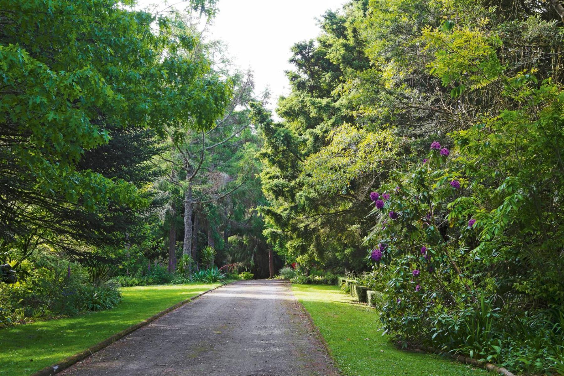 Villa Tepopo Gardens Rural Retreat Stratford Exterior foto