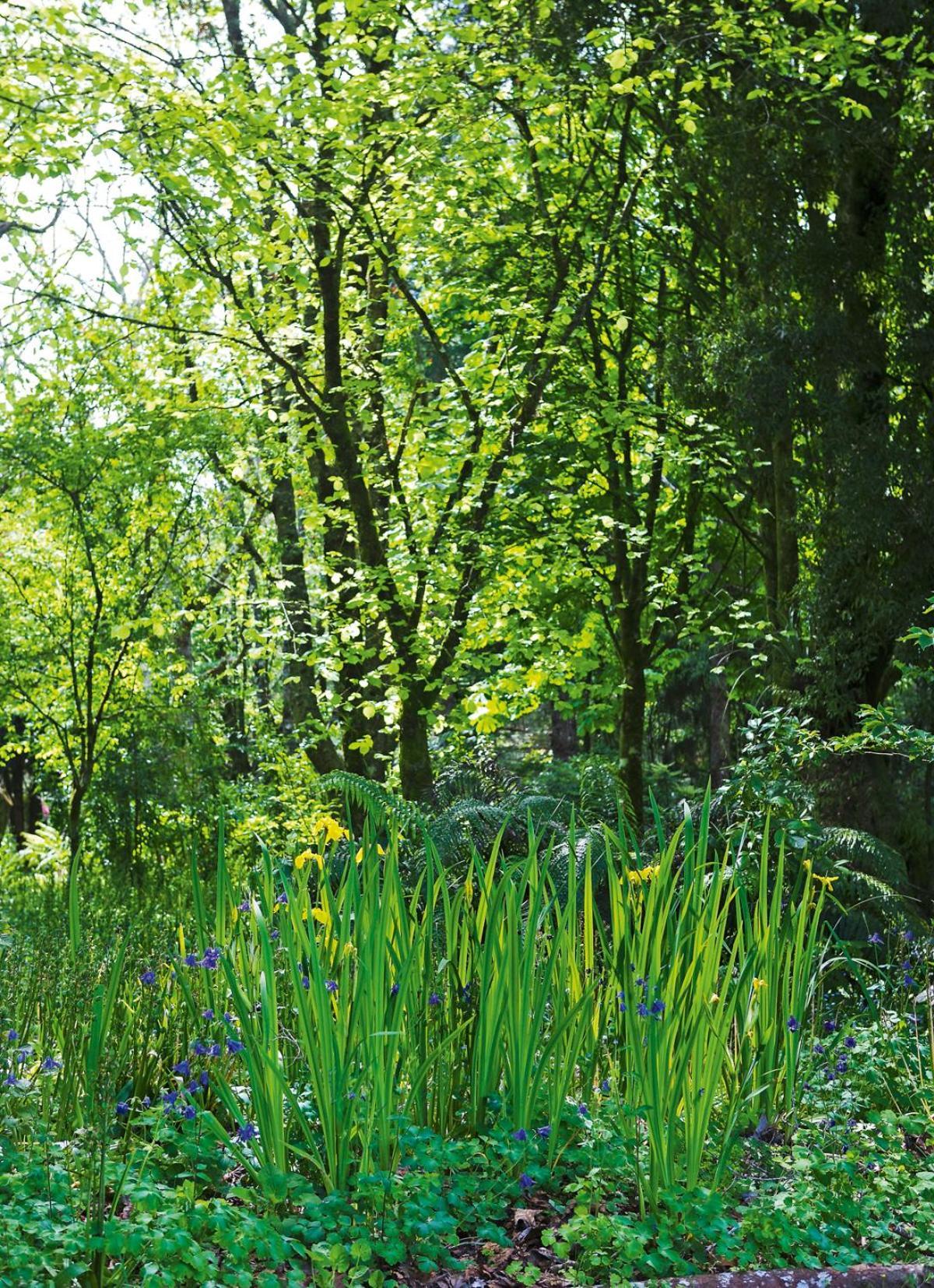 Villa Tepopo Gardens Rural Retreat Stratford Exterior foto