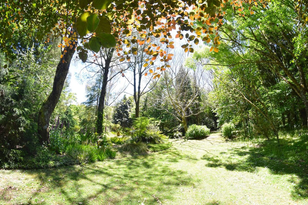 Villa Tepopo Gardens Rural Retreat Stratford Exterior foto