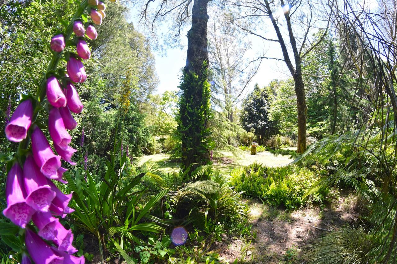 Villa Tepopo Gardens Rural Retreat Stratford Exterior foto